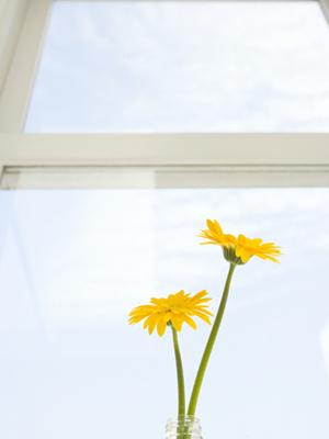 刀剣買取の実際についての基礎知識