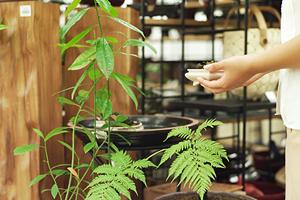 川崎市で家具リフォームや地震対策をご希望なら