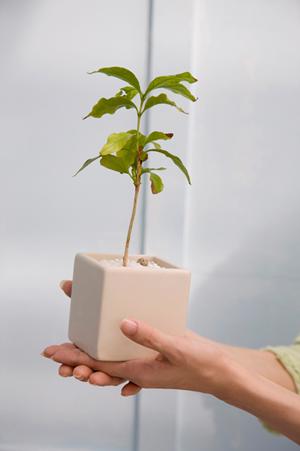 木工教室で行われる機械講習で覚えること