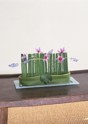 無垢材を使用したオーディオラック