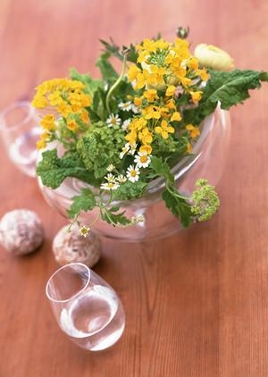 ブランド家具は買取利用で徹底活用